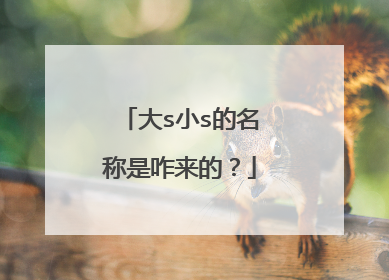 大s小s的名称是咋来的？
