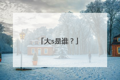 大s是谁？