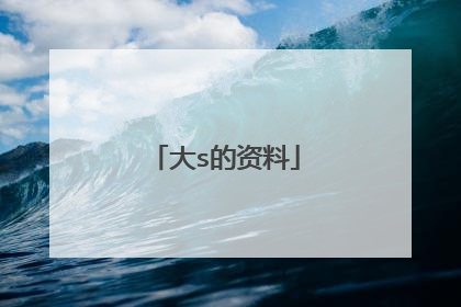 大s的资料