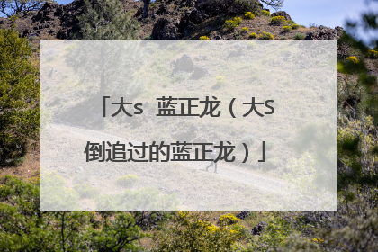 大s 蓝正龙(大S倒追过的蓝正龙)