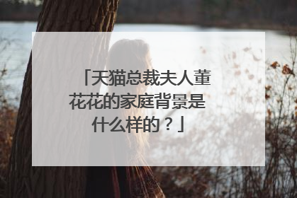 天猫总裁夫人董花花的家庭背景是什么样的?