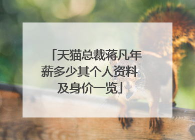 天猫总裁蒋凡年薪多少其个人资料及身价一览