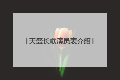 天盛长歌演员表介绍