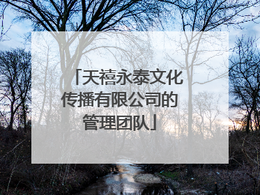 天禧永泰文化传播有限公司的管理团队