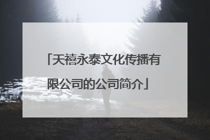 天禧永泰文化传播有限公司的公司简介