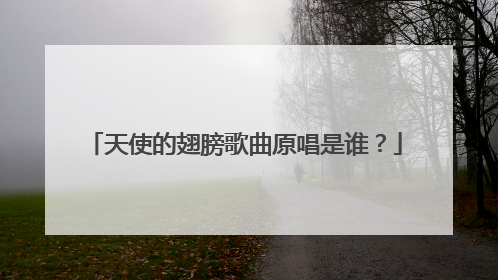 天使的翅膀歌曲原唱是谁？