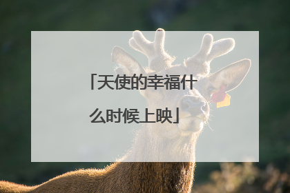 天使的幸福什么时候上映