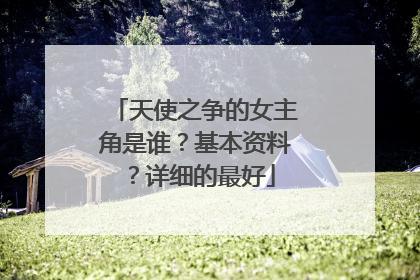 天使之争的女主角是谁？基本资料？详细的最好