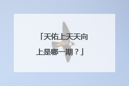 天佑上天天向上是哪一期？