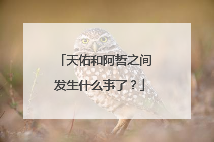 天佑和阿哲之间发生什么事了?