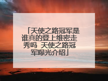 天使之路冠军是谁真的登上维密走秀吗 天使之路冠军曝光介绍
