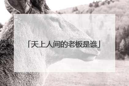 天上人间的老板是谁