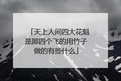 天上人间四大花魁是那四个飞的用竹子做的有些什么