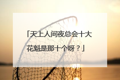 天上人间夜总会十大花魁是那十个呀？