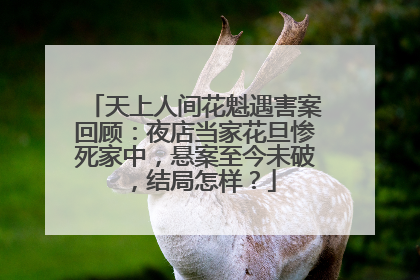 天上人间花魁遇害案回顾:夜店当家花旦惨死家中,悬案至今未破,结局怎样?