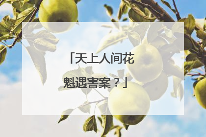 天上人间花魁遇害案?