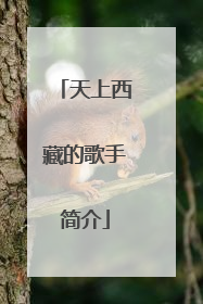 天上西藏的歌手简介