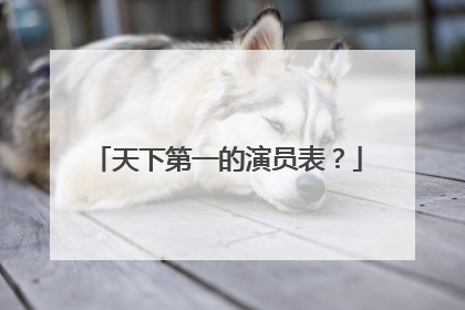 天下第一的演员表？