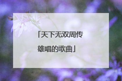 天下无双周传雄唱的歌曲