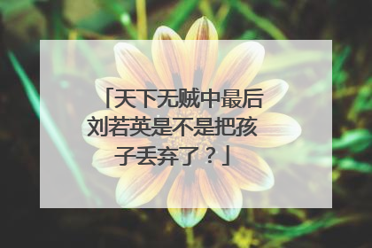 天下无贼中最后刘若英是不是把孩子丢弃了？