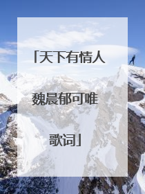 天下有情人 魏晨郁可唯 歌词