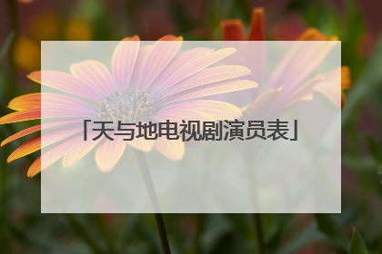 天与地电视剧演员表