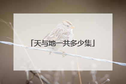 天与地一共多少集