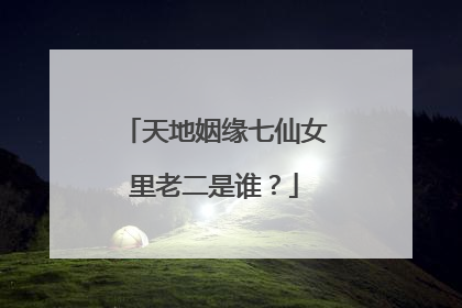 天地姻缘七仙女里老二是谁?