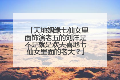 天地姻缘七仙女里面饰演老五的刘洋是不是就是欢天喜地七仙女里面的老大？