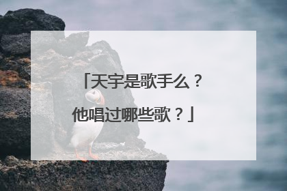 天宇是歌手么？他唱过哪些歌？