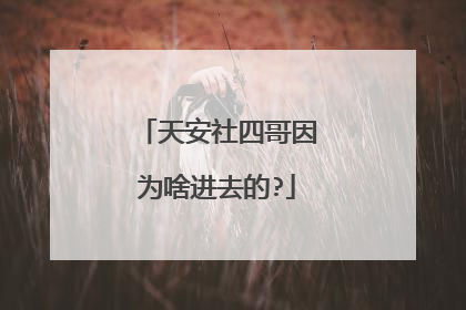 天安社四哥因为啥进去的?