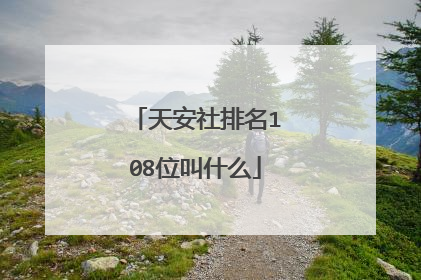 天安社排名108位叫什么