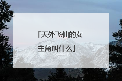 天外飞仙的女主角叫什么