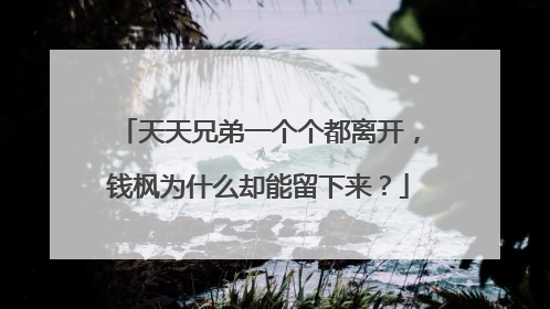 天天兄弟一个个都离开,钱枫为什么却能留下来?