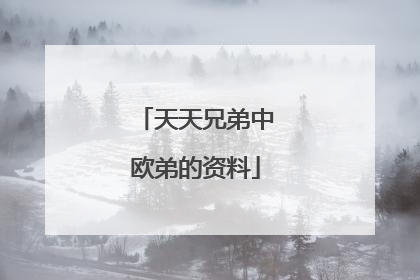 天天兄弟中欧弟的资料