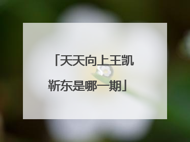 天天向上王凯靳东是哪一期