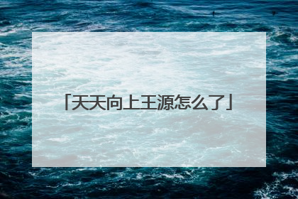 天天向上王源怎么了