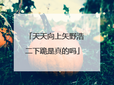 天天向上矢野浩二下跪是真的吗