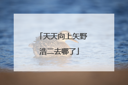 天天向上矢野浩二去哪了