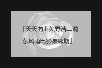 天天向上矢野浩二说东风雨电影是哪期