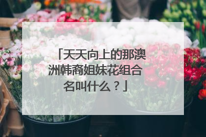 天天向上的那澳洲韩裔姐妹花组合名叫什么?