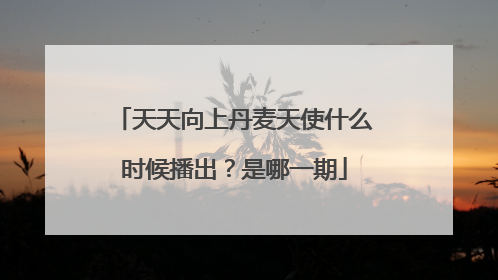 天天向上丹麦天使什么时候播出?是哪一期