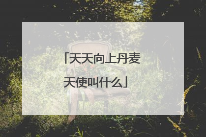 天天向上丹麦天使叫什么