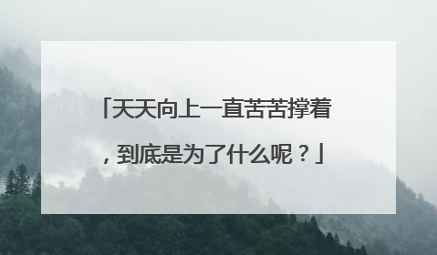 天天向上一直苦苦撑着,到底是为了什么呢?