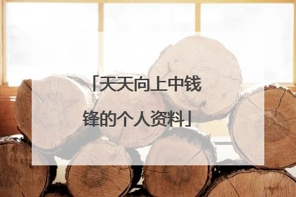 天天向上中钱锋的个人资料