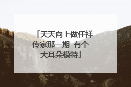 天天向上做任祥传家那一期 有个大耳朵模特