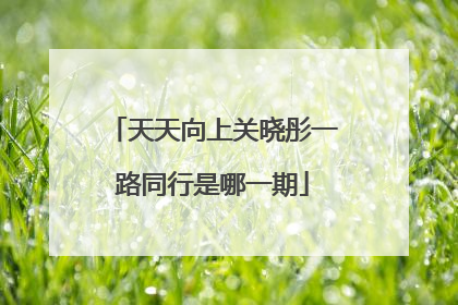 天天向上关晓彤一路同行是哪一期