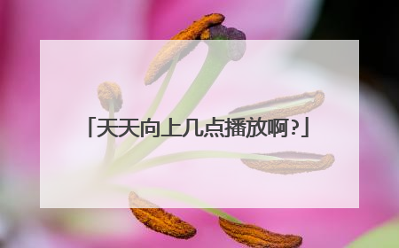 天天向上几点播放啊?