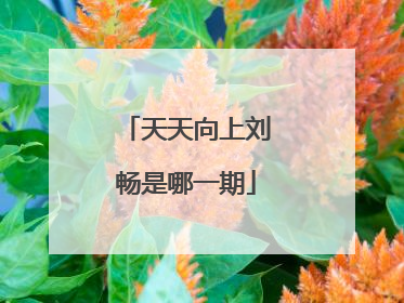 天天向上刘畅是哪一期