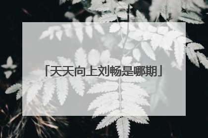 天天向上刘畅是哪期